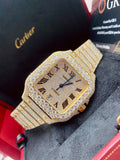 High quality moissanite iced out cartier💎